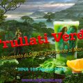 HNA103Agosto2018-frullati-verdi-boutenko-frutta-verdura-salute-strumento-potente-dimagrimento
