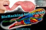 HNA114Lug2019-BioHacking-Integratori-Scienza-Nootropici-Nutriceutica-2019